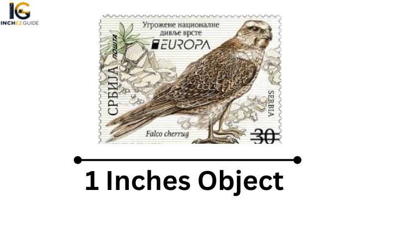 How Long Is 1 Inches