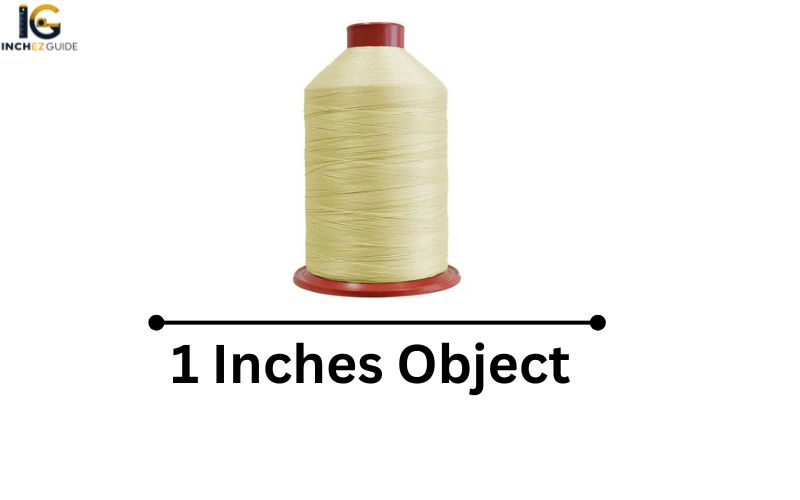 How Long Is 1 Inches