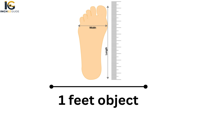 how big is 1 feet