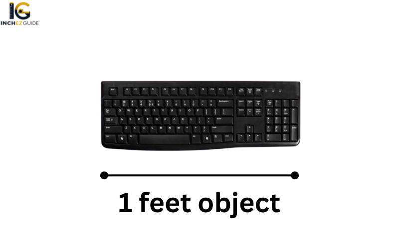 how big is 1 feet