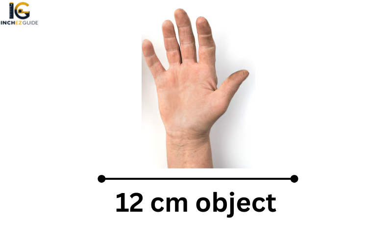 how big is 12 cm