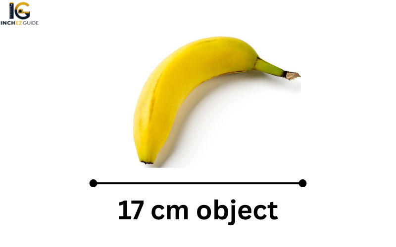 how big is 17 cm