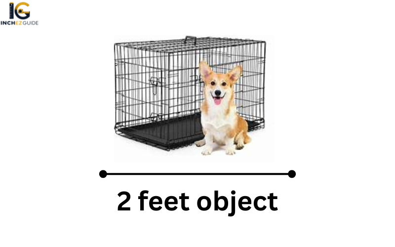 how big is 2 feet