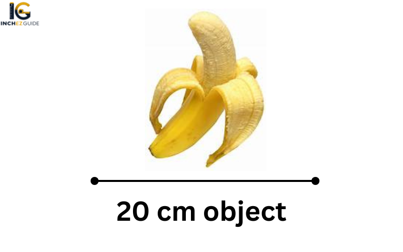 how big is 20 cm