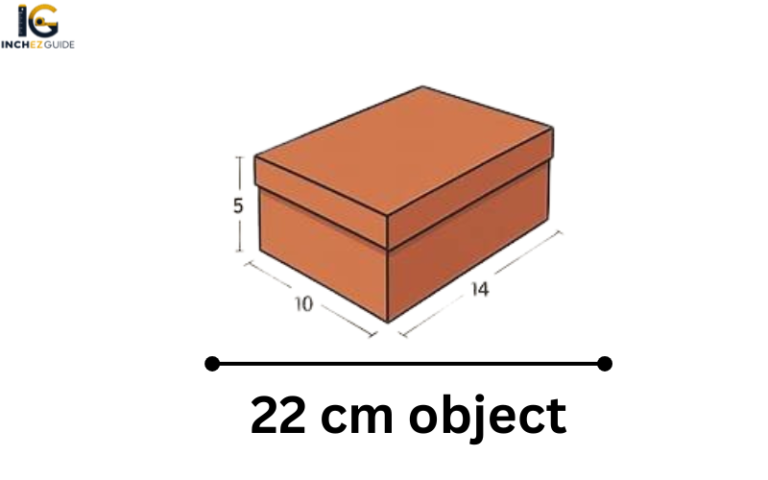 22cm Visualised How Big Is 22 cm? Real-Life Size Comparison Guide