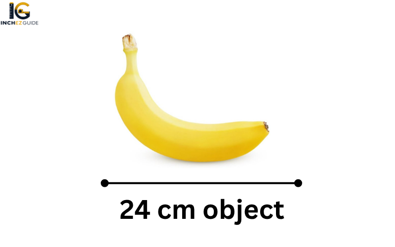 how big is 24 cm