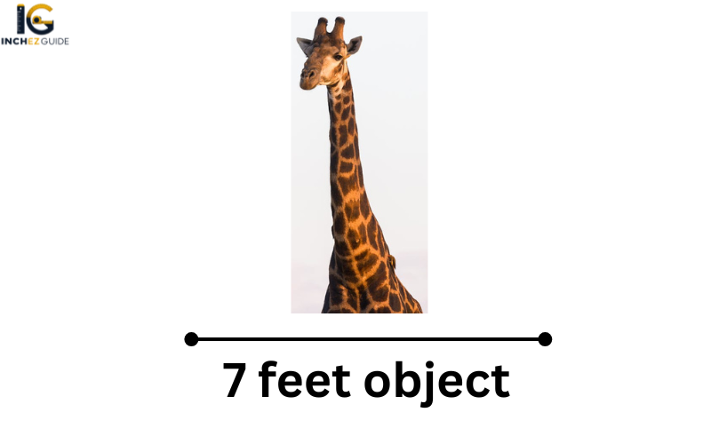 how big is 7 feet