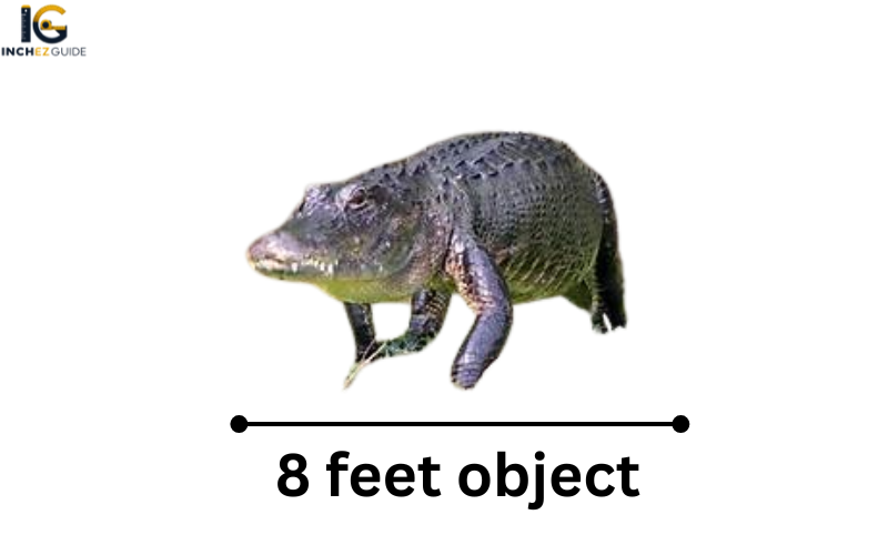 how big is 8 feet