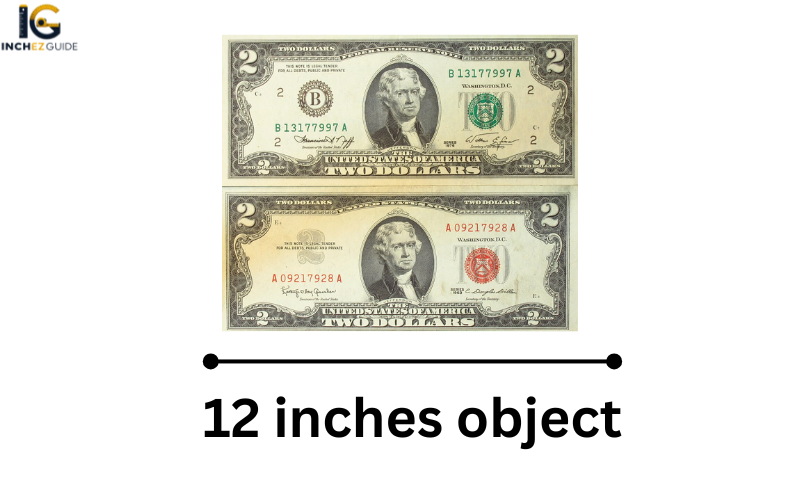 how long is 12 inches