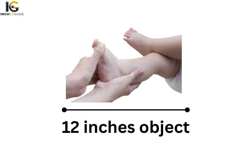 how long is 12 inches