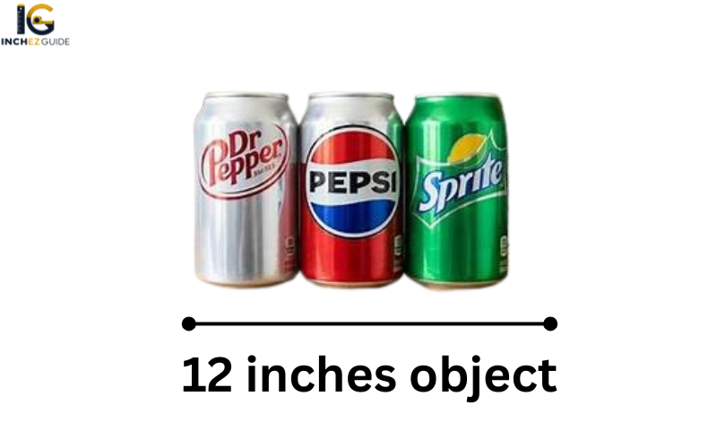 how long is 12 inches