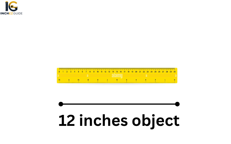 how long is 12 inches