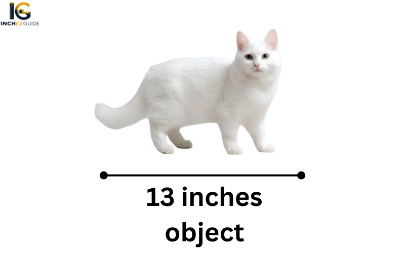 how long is 13 inches