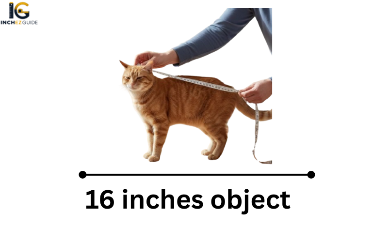 how long is 16 inches