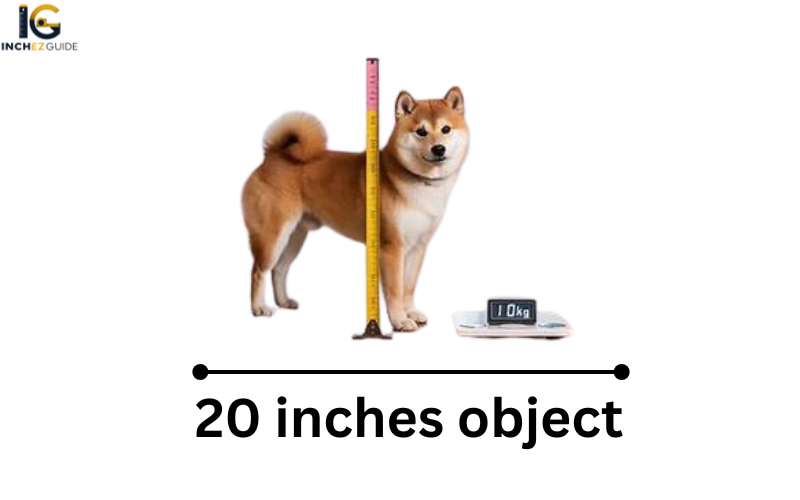 how long is 20 inches