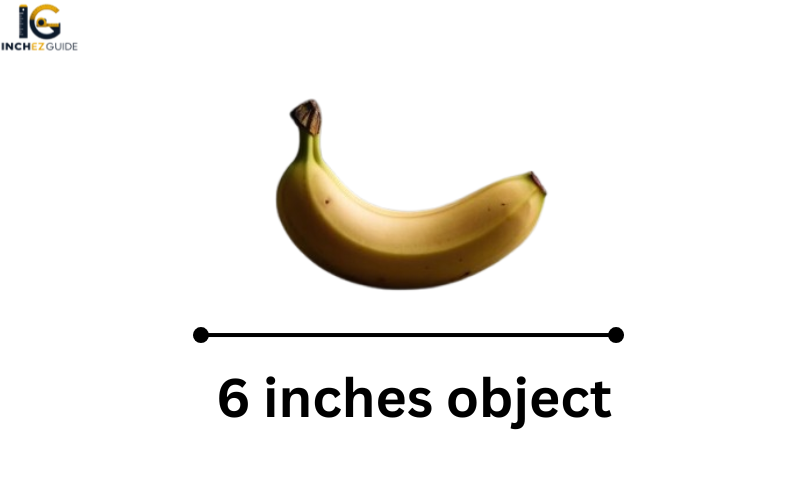 how long is 6 inches