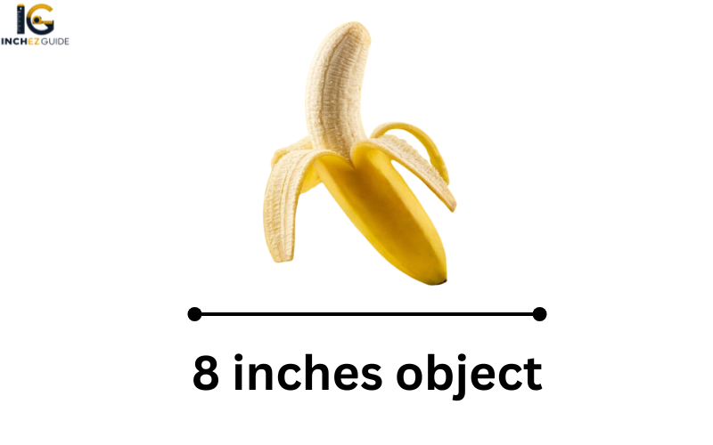 how long is 8 inches
