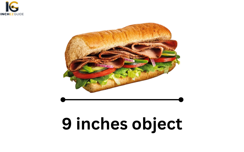 how long is 9 inches