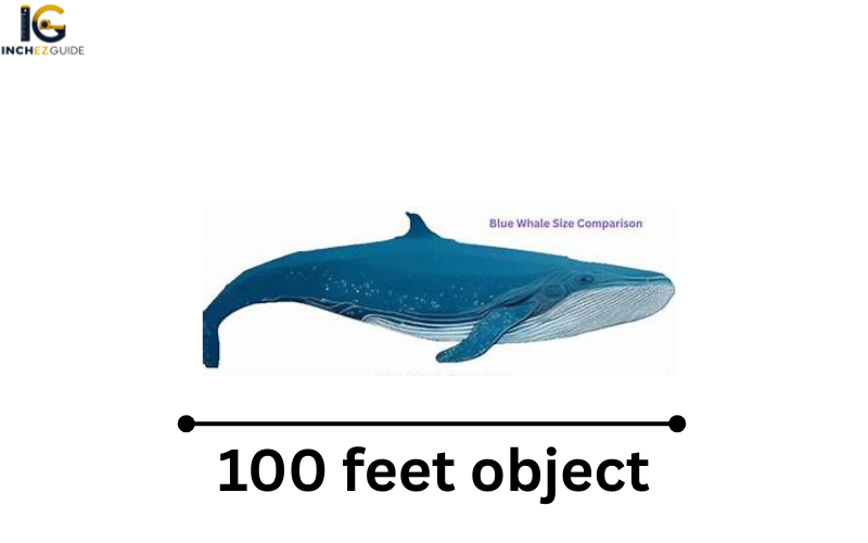 how big is 100 feet