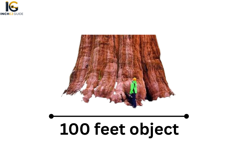 how big is 100 feet