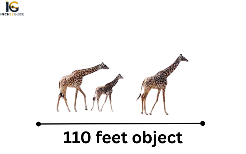 how big is 110 feet