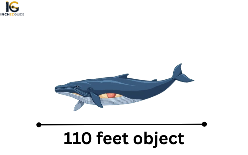 how big is 110 feet