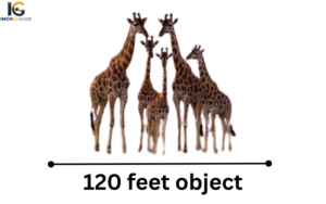 How Big Is 120 Feet? 8 Real-Life Examples to Visualize It