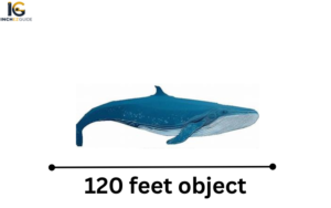 How Big Is 120 Feet? 8 Real-Life Examples to Visualize It