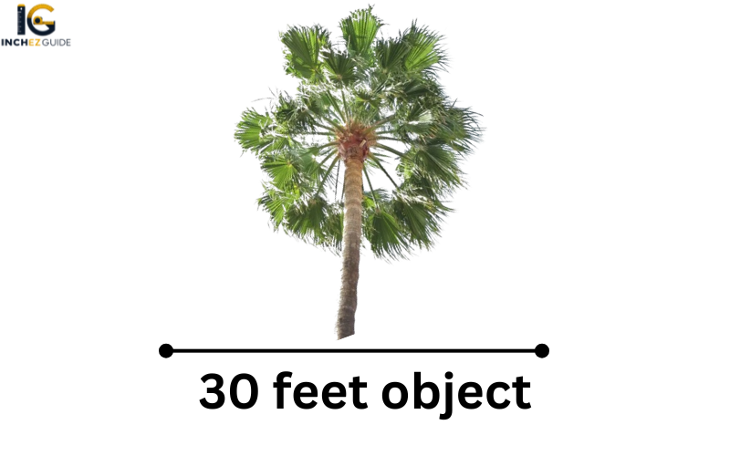 how big is 30 feet