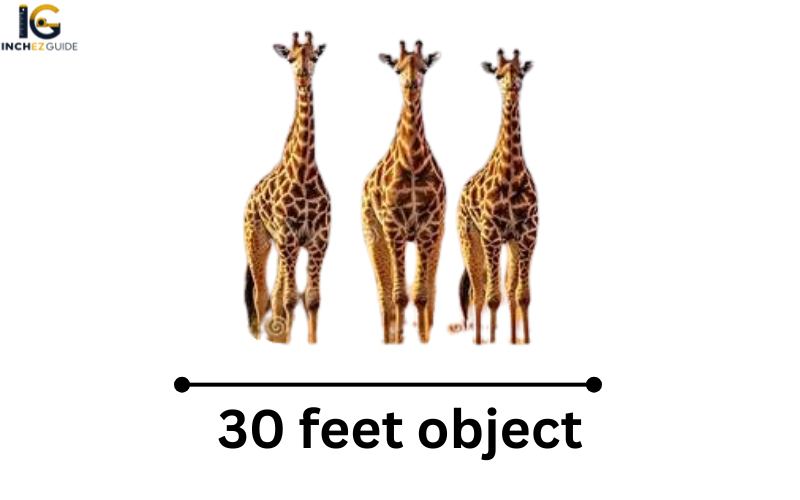 how big is 30 feet