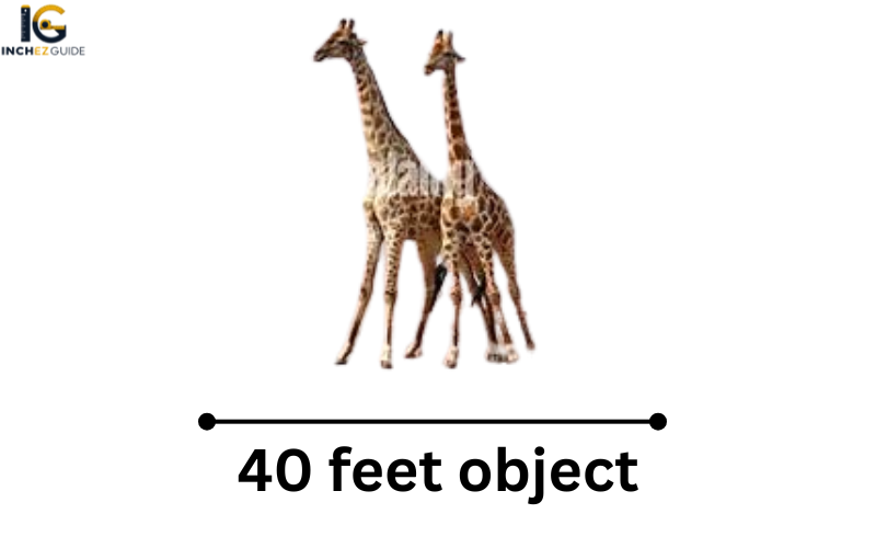 how big is 40 feet
