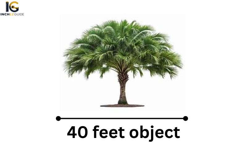 how big is 40 feet
