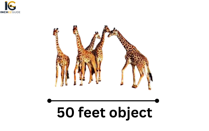 how big is 50 feet