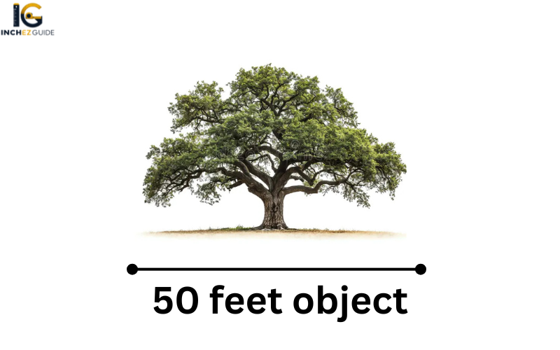 how big is 50 feet