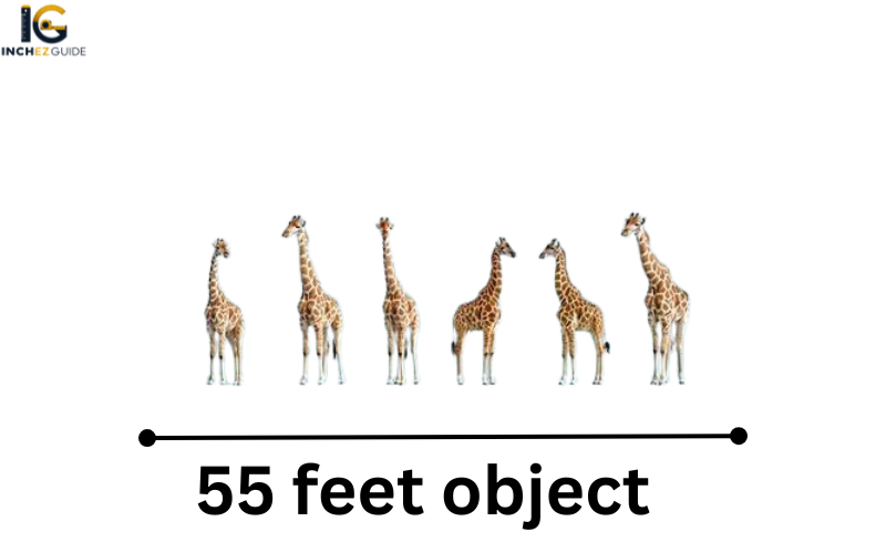how big is 55 feet