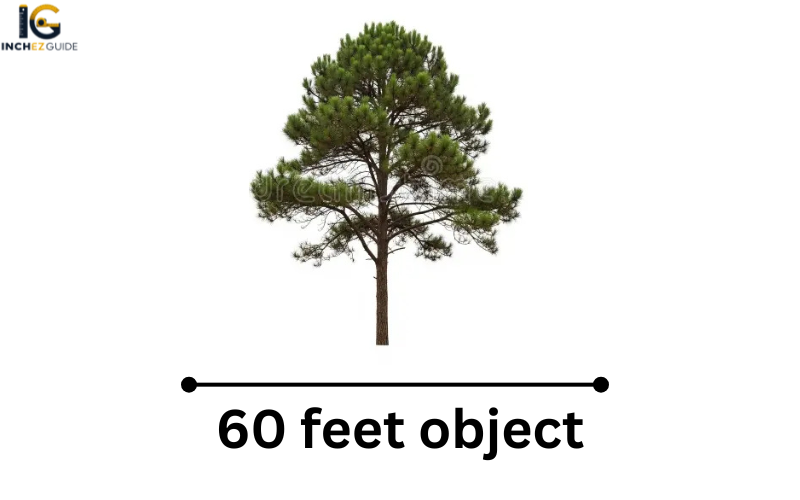 how big is 60 feet