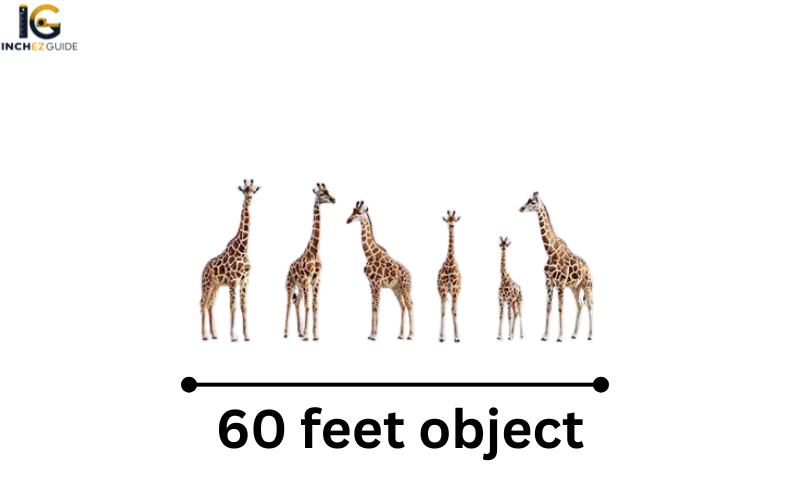 how big is 60 feet