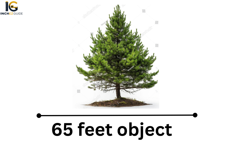 how big is 65 feet