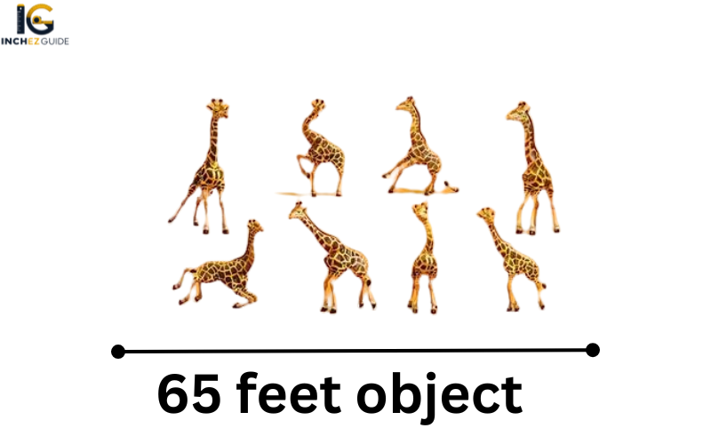 how big is 65 feet