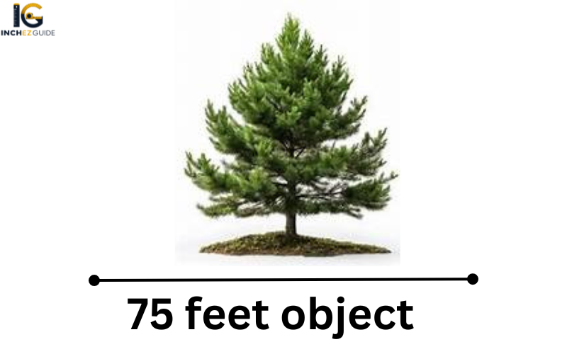 how big is 75 feet