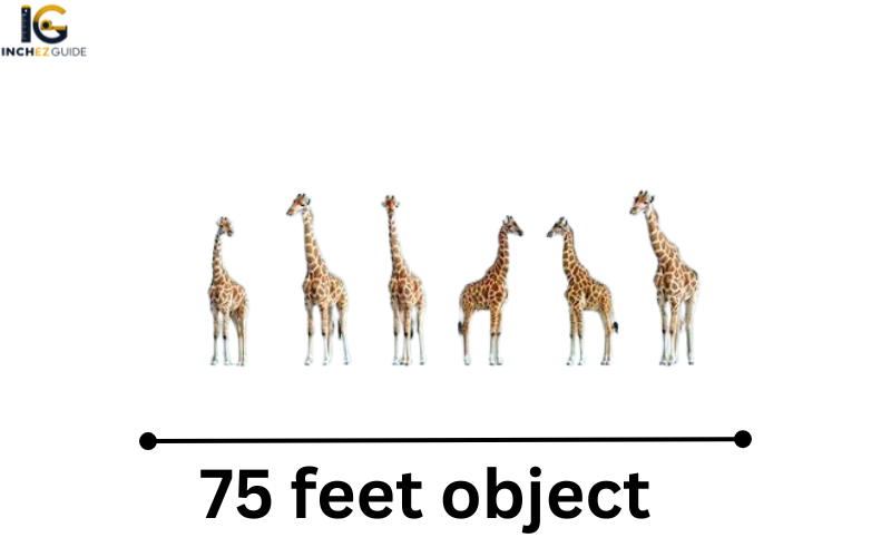 how big is 75 feet