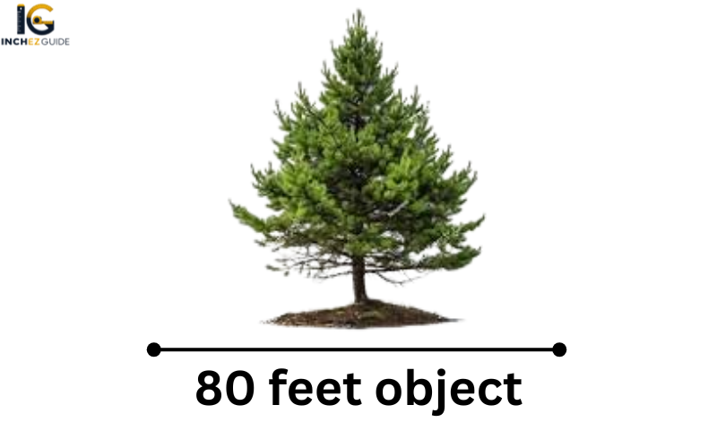 how big is 80 feet 