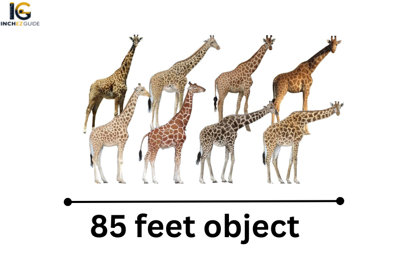 how big is 85 feet