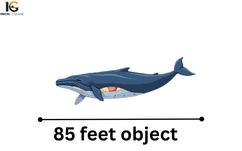 how big is 85 feet