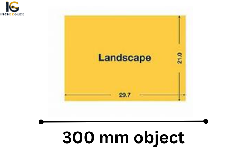 how long is 300 mm