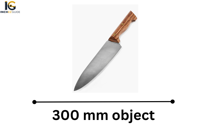 how long is 300 mm