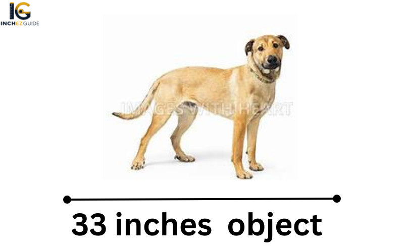 how long is 33 inches