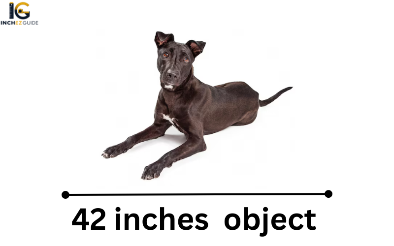 how long is 42 inches