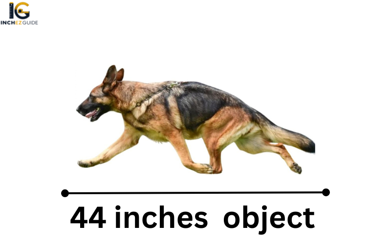 how long is 44 inches